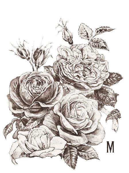 May's Roses transfer