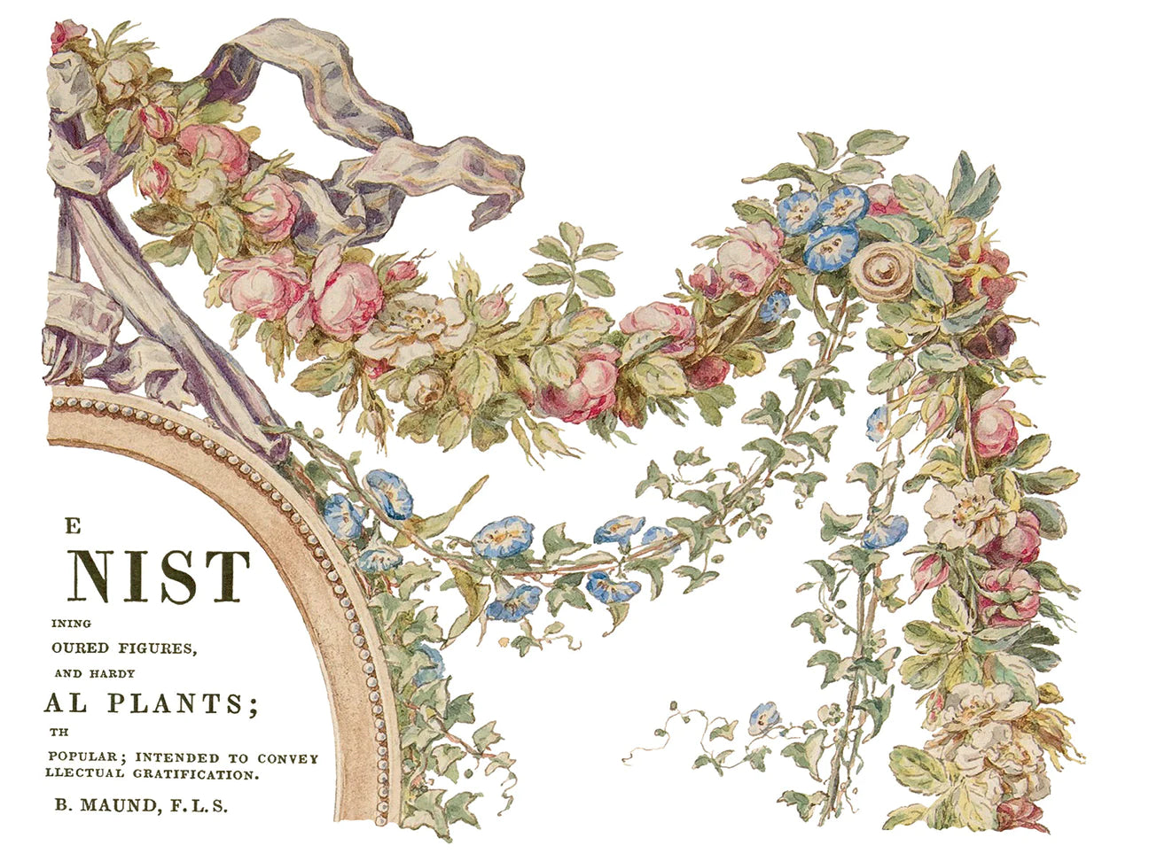 The Botanist transfer