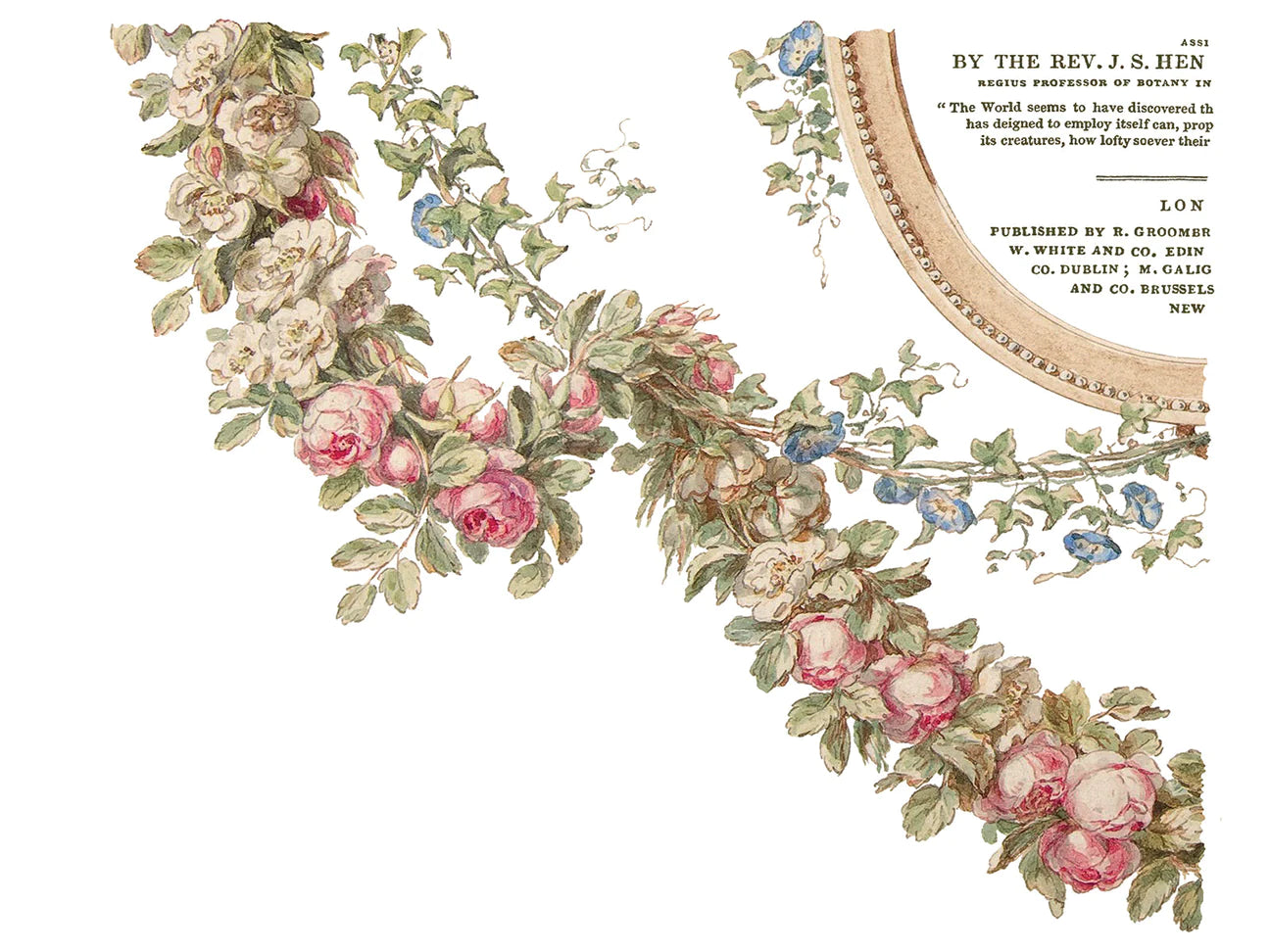 The Botanist transfer