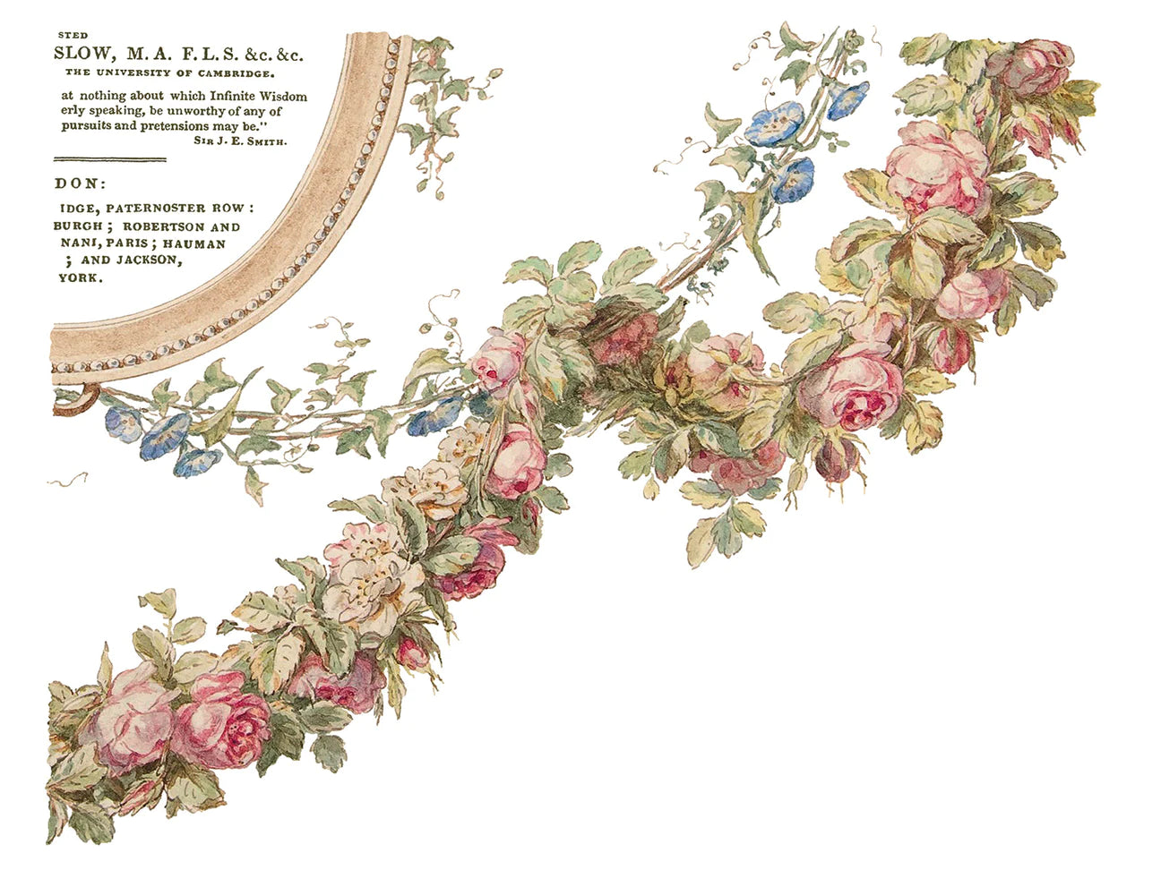 The Botanist transfer