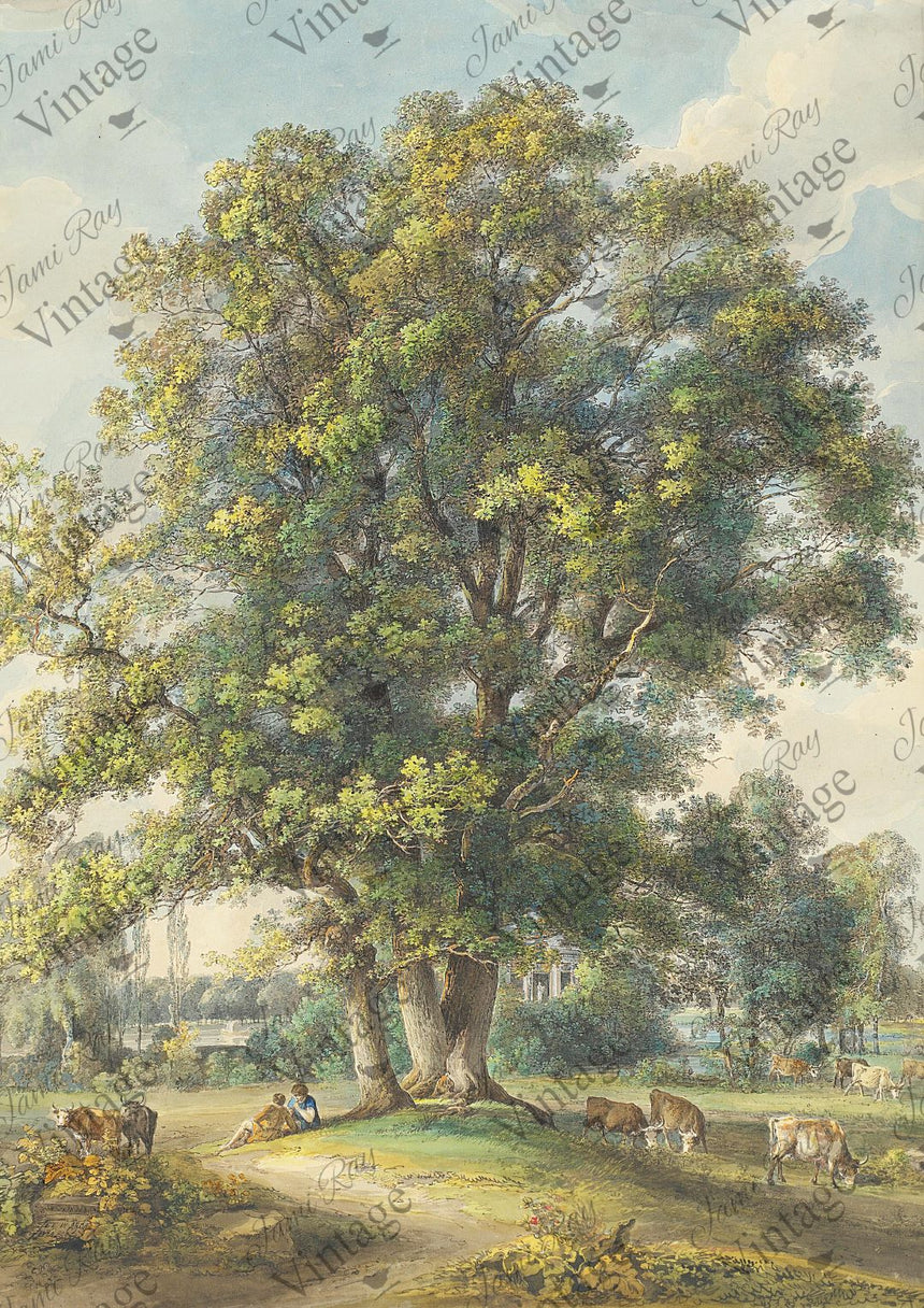 "Cows Under a Tree" Decoupage Rice Paper