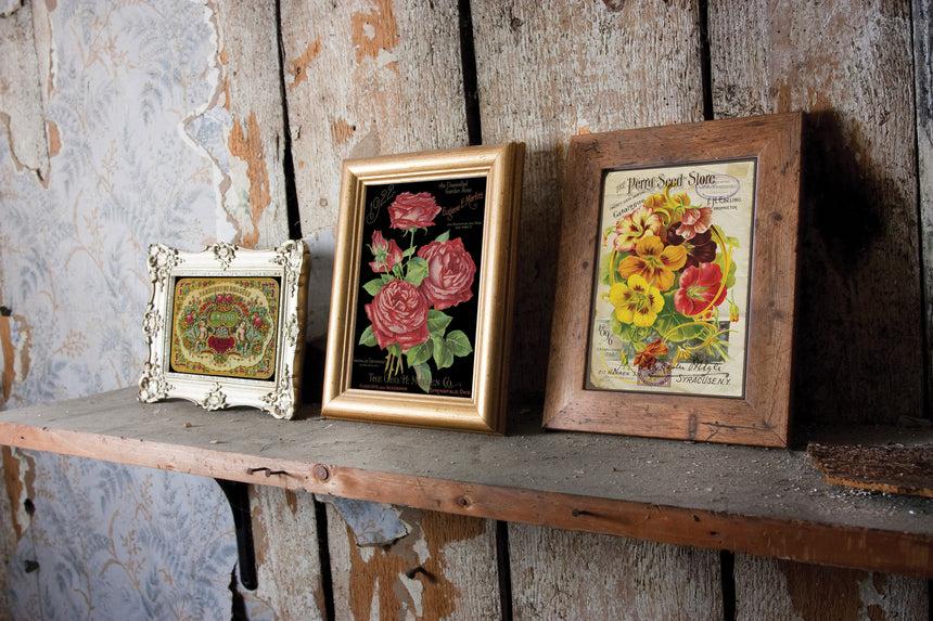 EPHEMERAL MELANGE IOD TRANSFER 8X12 PAD