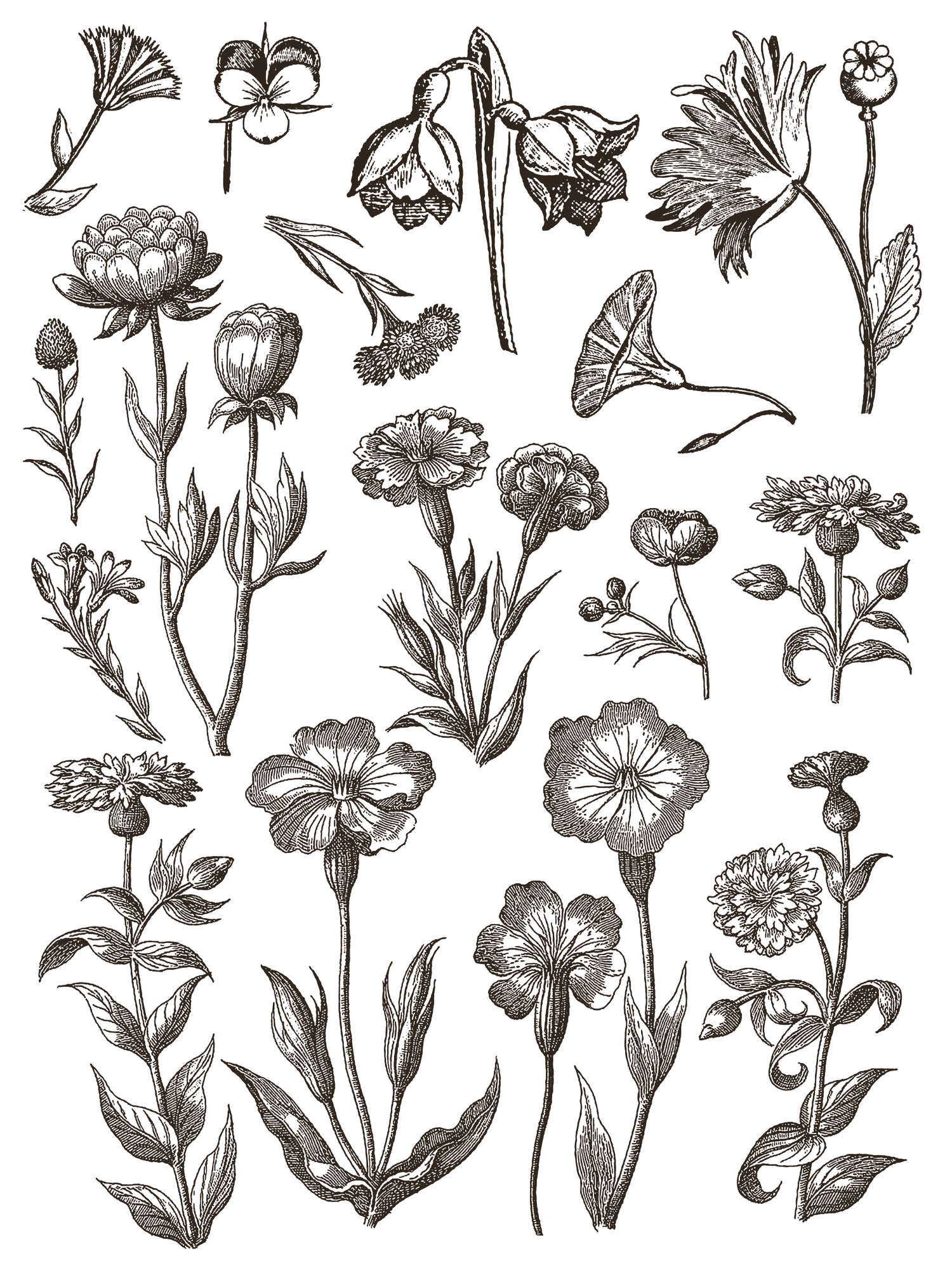 Floriography