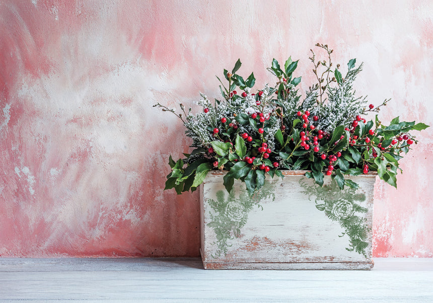 Holly & Pine 12x12 Stamp