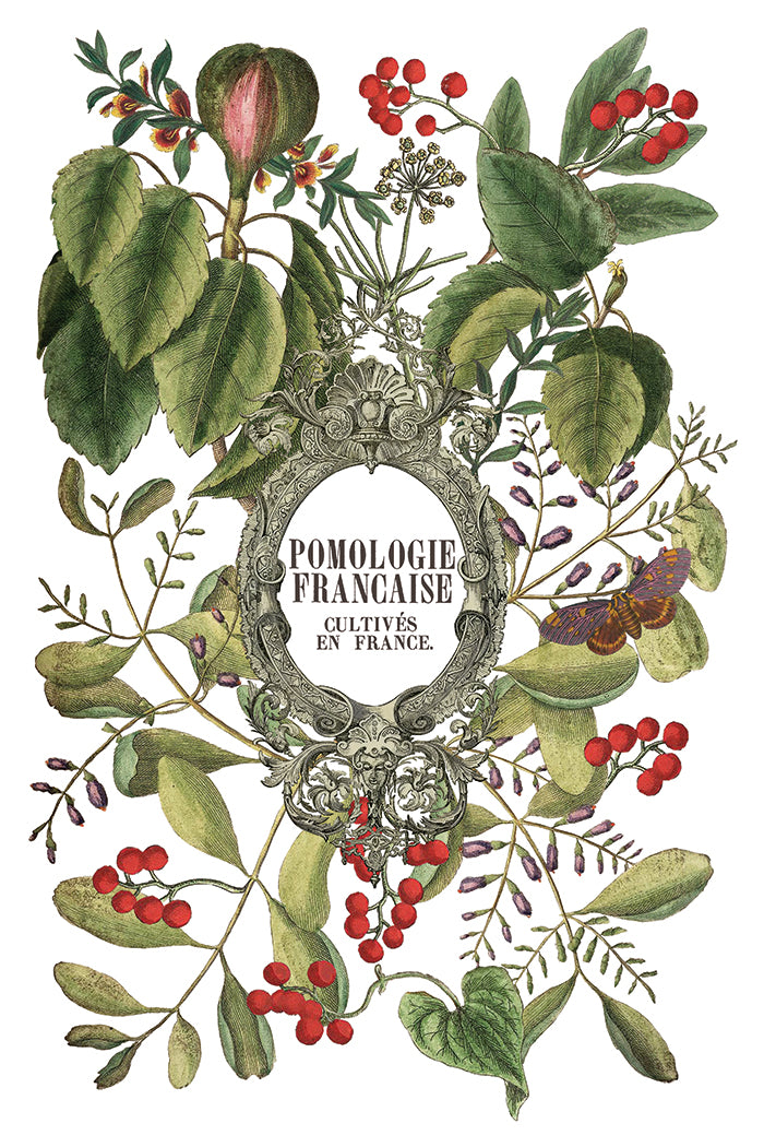 Clementine 8x12 Transfer Pad