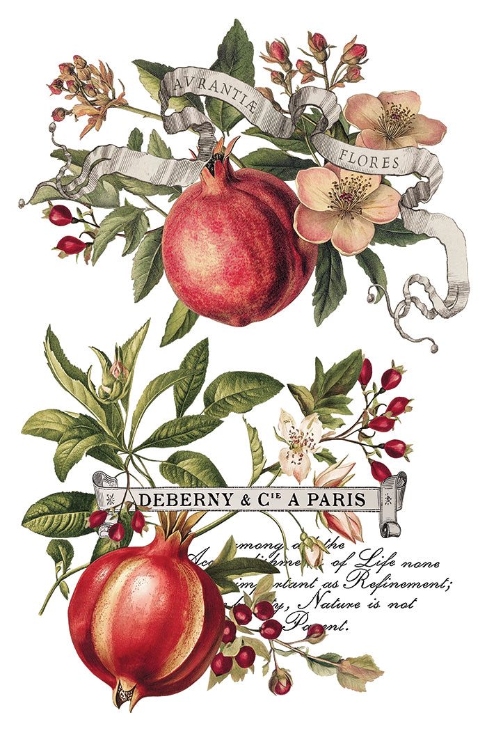 Clementine 8x12 Transfer Pad