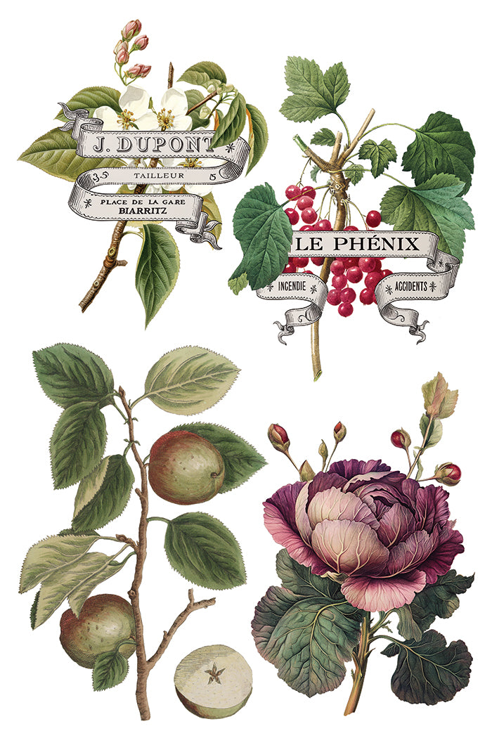 Clementine 8x12 Transfer Pad