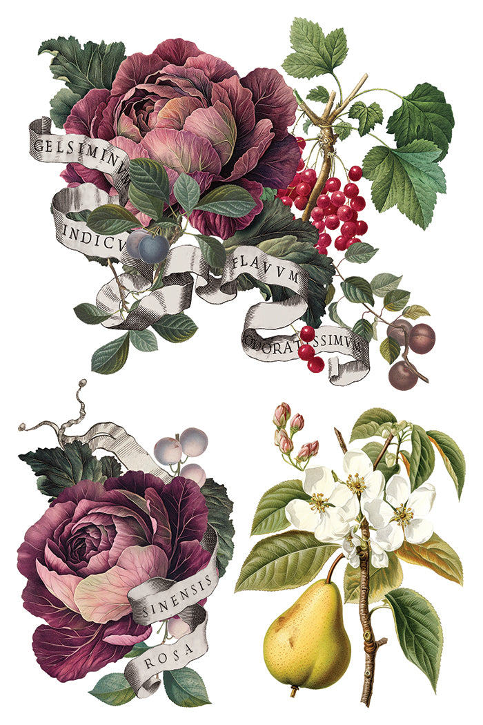 Clementine 8x12 Transfer Pad