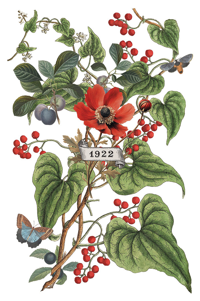 Clementine 8x12 Transfer Pad