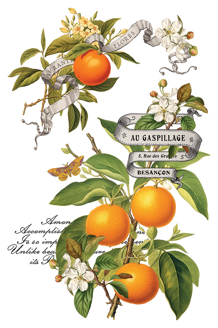 Clementine 8x12 Transfer Pad