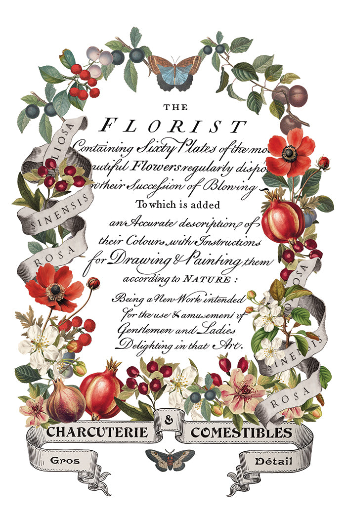 Clementine 8x12 Transfer Pad