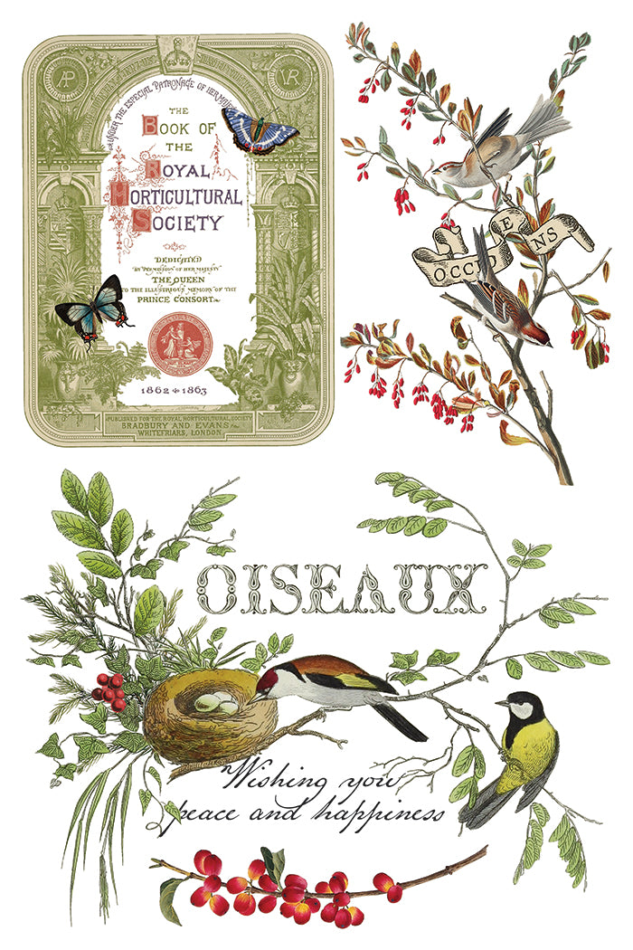 Winter Botanist 8x12 Transfer Pad