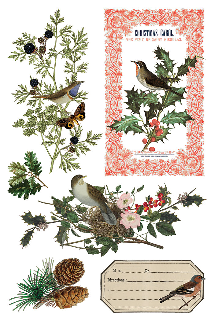 Winter Botanist 8x12 Transfer Pad