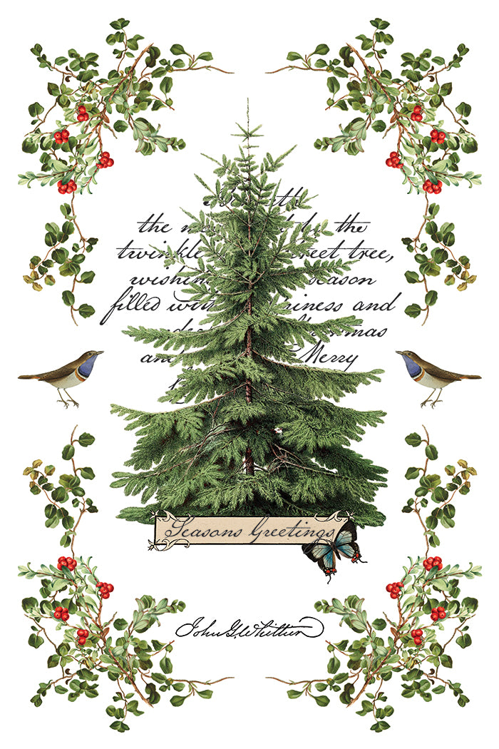 Winter Botanist 8x12 Transfer Pad