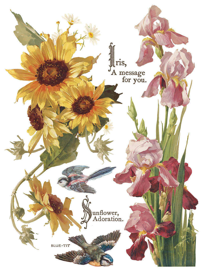 Flowers by the Poets
