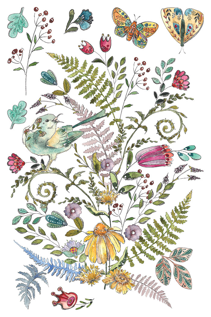 Fern Fables
