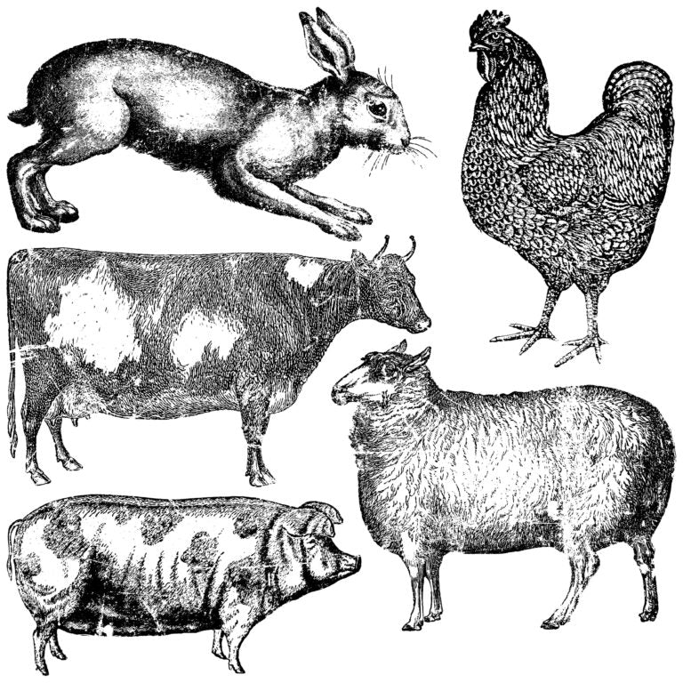 Farm Animals 12x12 Decor Stamp - IOD - Mill Creek Mercantile