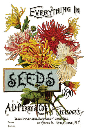 SEED CATALOGUE IOD TRANSFER 8X12 PAD