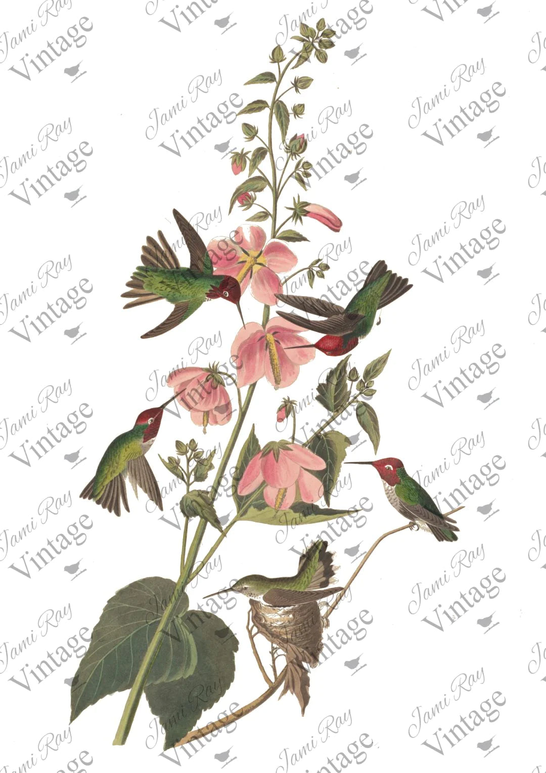 "Hummingbird" Decoupage Rice Paper