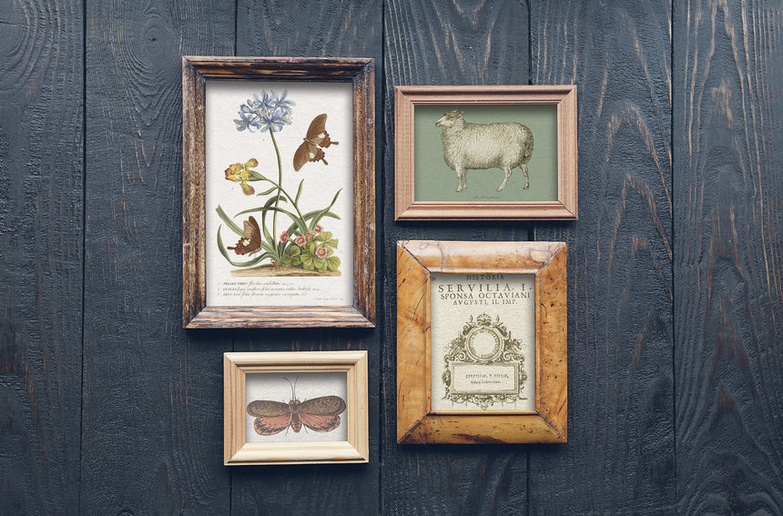 BROCANTE IOD TRANSFER 12X16 PAD