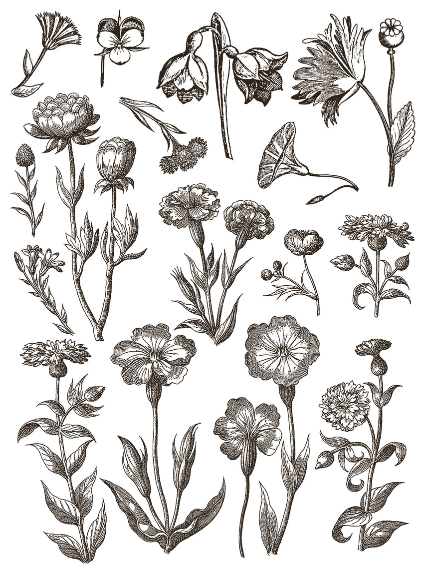 Floriography