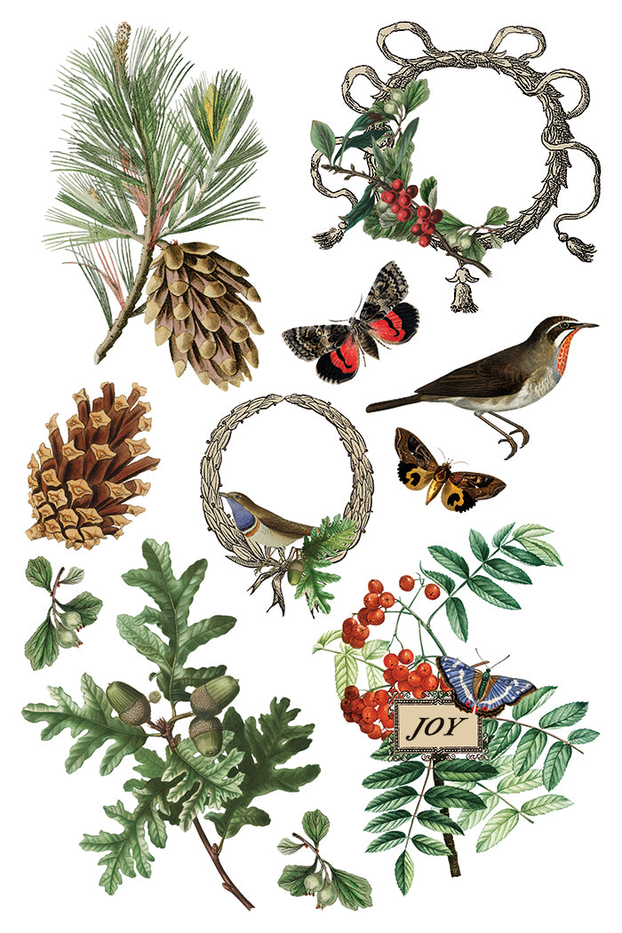 Winter Botanist 8x12 Transfer Pad