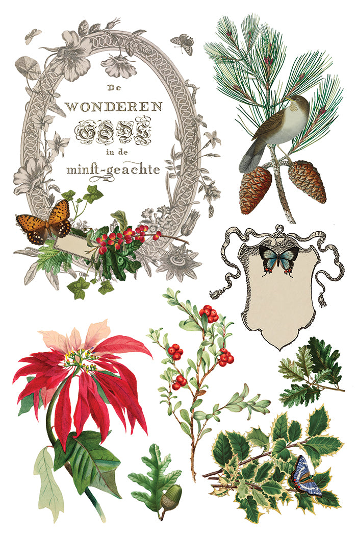 Winter Botanist 8x12 Transfer Pad