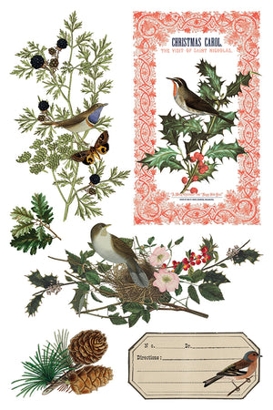 Winter Botanist 8x12 Transfer Pad