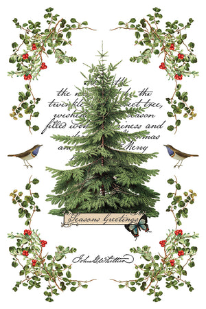 Winter Botanist 8x12 Transfer Pad
