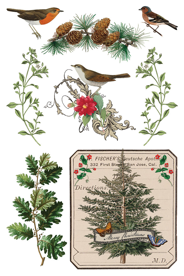Winter Botanist 8x12 Transfer Pad