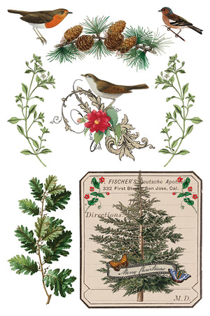 Winter Botanist 8x12 Transfer Pad