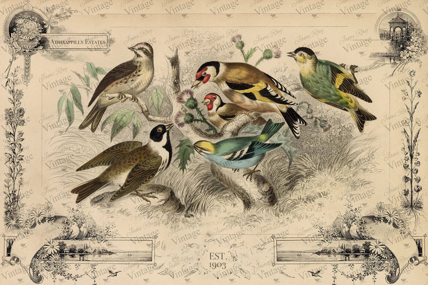 "Cottage Birds" Decoupage Paper