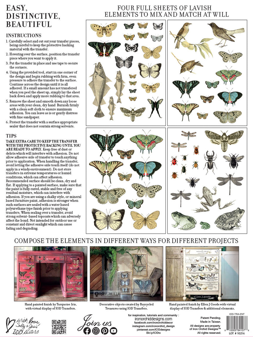 ENTOMOLOGY ETCETERA IOD TRANSFER 12X16 PAD