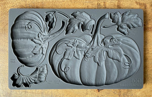 Hello Pumpkin 6x10 IOD Mould