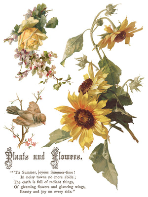 Flowers by the Poets