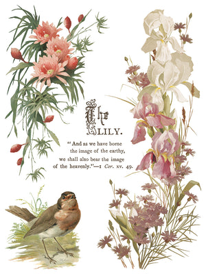 Flowers by the Poets
