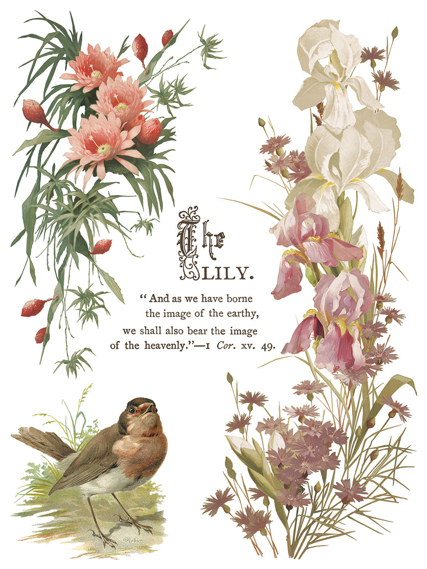 Flowers by the Poets