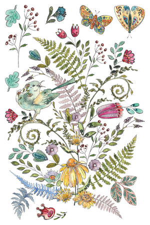 Fern Fables
