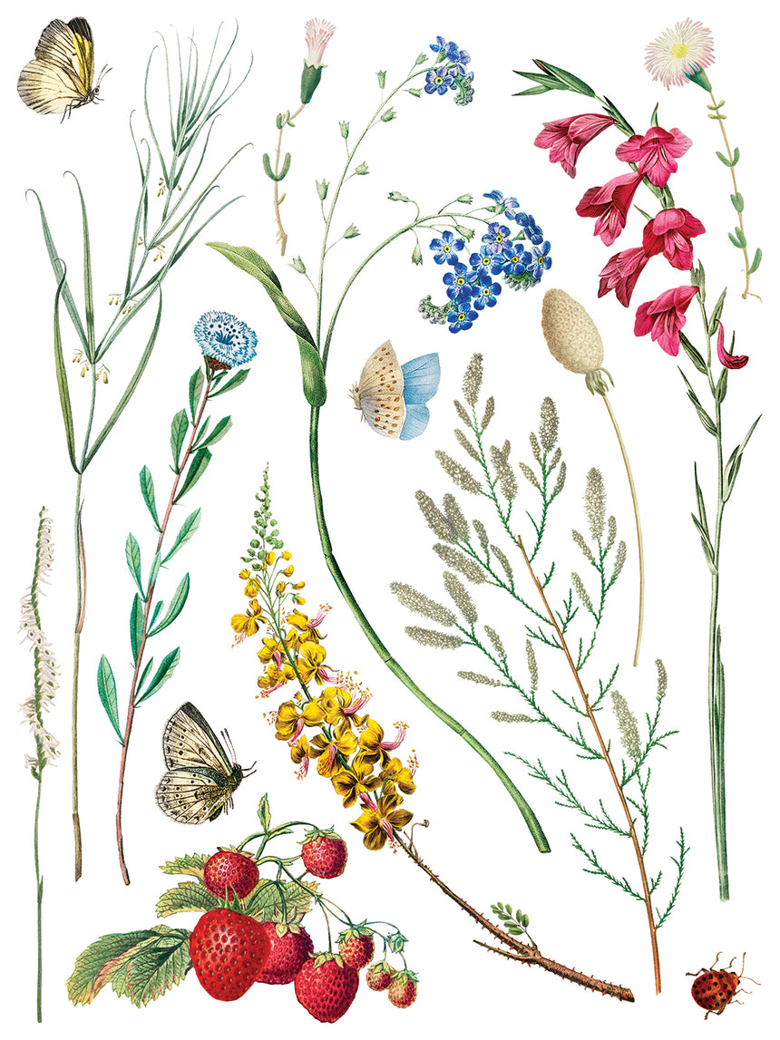 Marche' des Fleurs