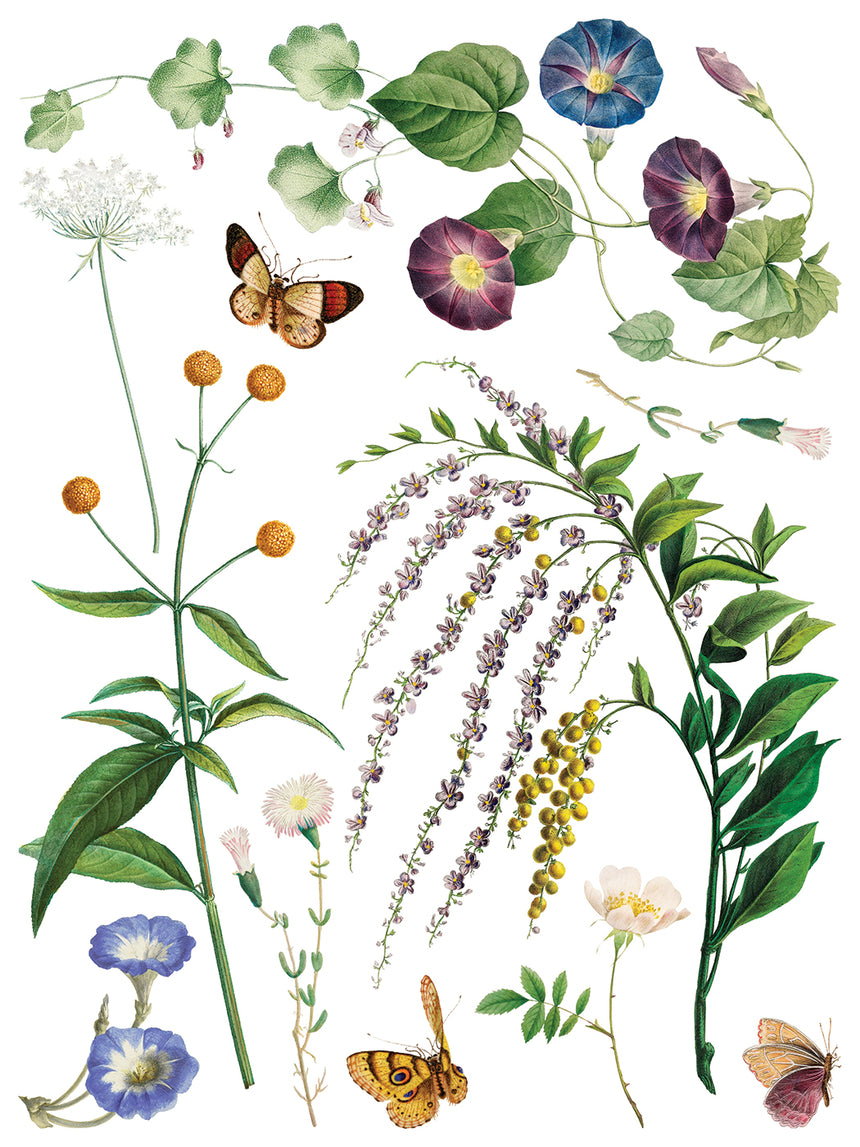 Marche' des Fleurs