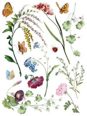 Marche' des Fleurs