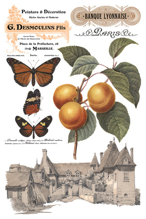 Saint Ouen