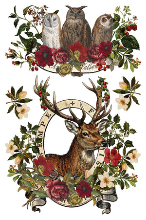 Stag Tavern