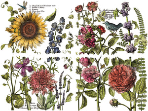 BOTANIST'S JOURNAL IOD TRANSFER 12X16 PAD