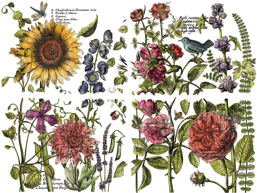 BOTANIST'S JOURNAL IOD TRANSFER 12X16 PAD