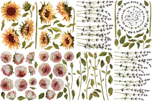 PAINTERLY FLORALS IOD TRANSFER 12X16 PAD