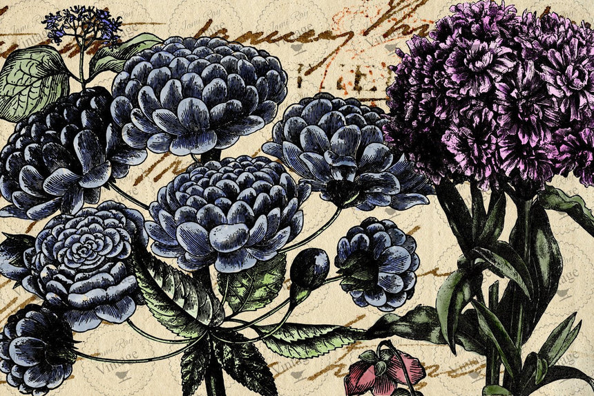 "Pétales" Decoupage Paper