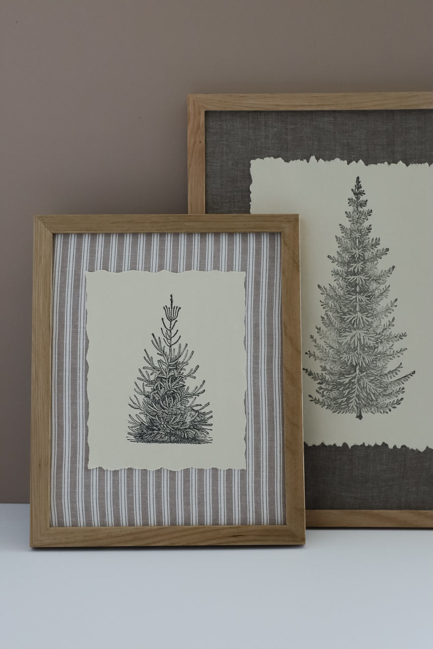Winter Grove