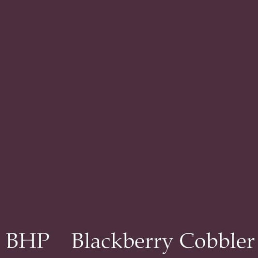 Clear Coat Super Shield - Blackberry House Paint