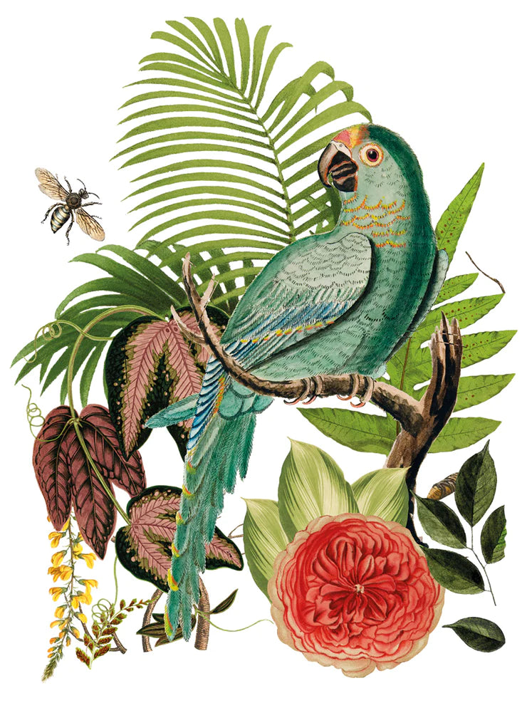 BUNGALOW IOD TRANSFER 12X16 PAD